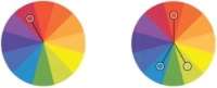 Три правильных способа использовать цвет в дизайне этикеток